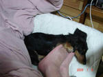 DSC02268.JPG