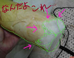 DSC02329.JPG