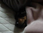 DSC02328.JPG