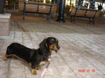 DSC02169.JPG