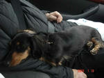 DSC02350.JPG