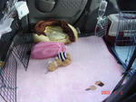 DSC02413.JPG