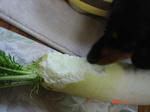 DSC02429.JPG