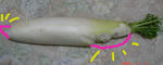 DSC02436.JPG