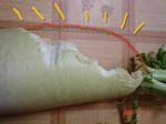 DSC02442.JPG