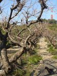 DSC02457.JPG