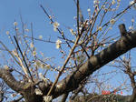 DSC02456.JPG