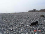 DSC02511.JPG