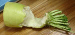 DSC02535.JPG