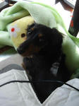 DSC02545.JPG