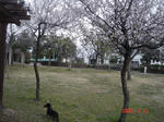 DSC02540.JPG
