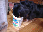 DSC02502.JPG