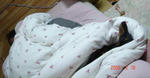 DSC02506.JPG