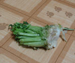 DSC02556.JPG
