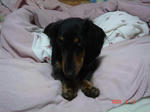 DSC02560.JPG
