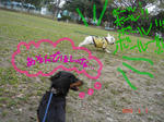 DSC02597.JPG