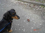 DSC02596.JPG