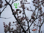 DSC02594.JPG