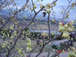 DSC02618.JPG