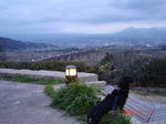 DSC02620.JPG