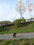 DSC02632.JPG