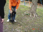 DSC02635.JPG