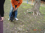DSC02636.JPG