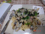 DSC02637.JPG