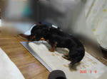 DSC02644.JPG