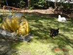 DSC02665.JPG