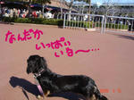 DSC02723.JPG
