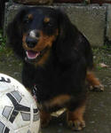 DSC02814.JPG