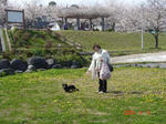 DSC02902.JPG