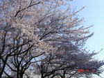 DSC02912.JPG