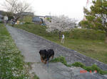 DSC02920.JPG