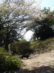 DSC02963.JPG