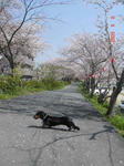 DSC02978.JPG