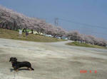 DSC02985.JPG