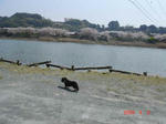 DSC02988.JPG