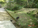 DSC03012.JPG