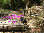 DSC03015.JPG
