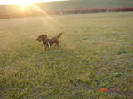 DSC03000.JPG