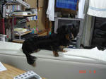 DSC02611.JPG