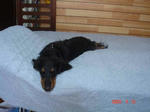 DSC03026.JPG