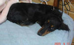 DSC03028.JPG