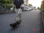 DSC03050.JPG