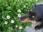 DSC03066.JPG