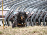 DSC00057.JPG
