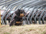 DSC00058.JPG