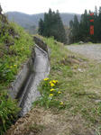 DSC03158.JPG
